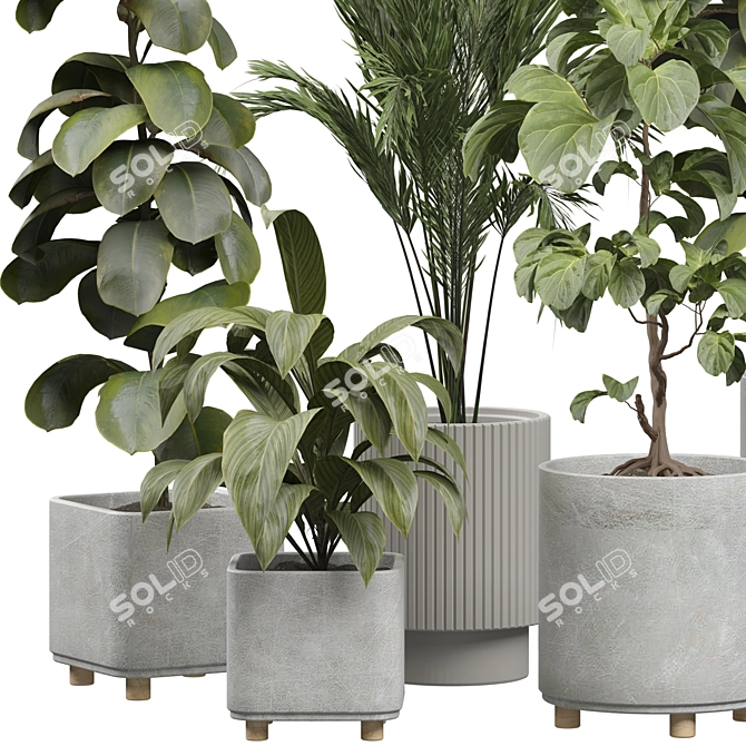 Modern Indoor Plant Model 452 3D model image 2