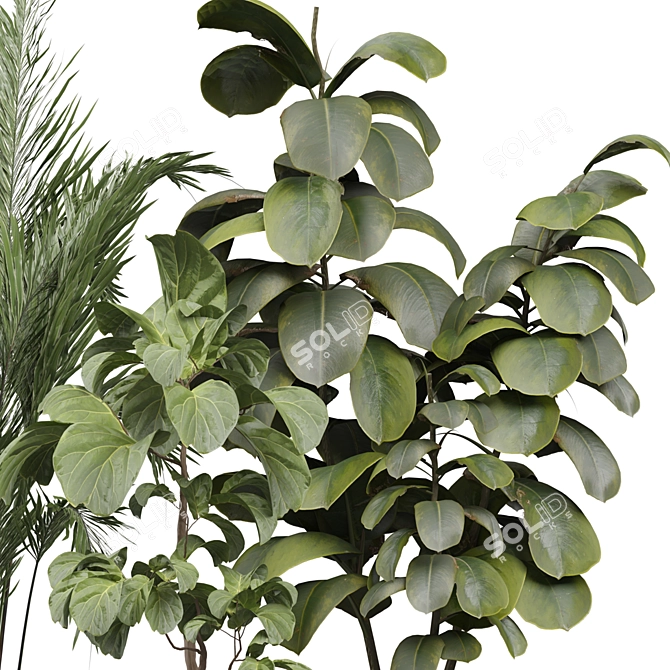 Modern Indoor Plant Model 452 3D model image 3