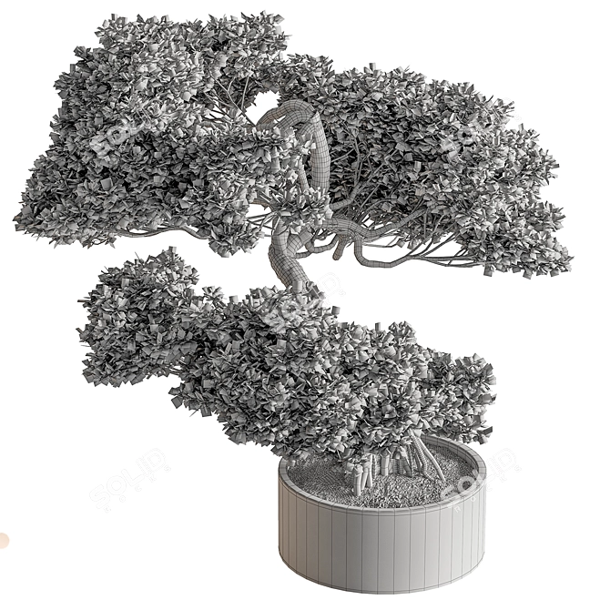 Bonsai Plant 626: Indoor Beauty 3D model image 4