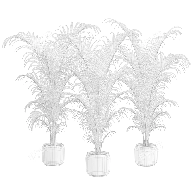 Tropical Areca Palm Set FP 3D model image 3