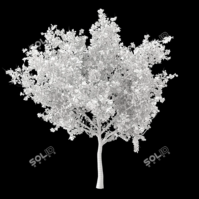 Autumn Maple Tree tendrils 3D model image 3