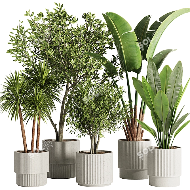 Modern Indoor Plant Set 2016 3D model image 1