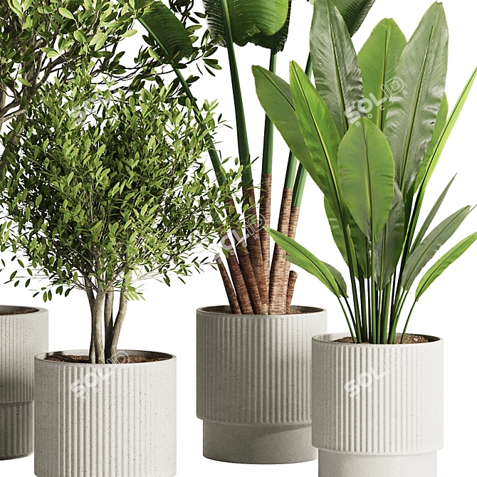 Modern Indoor Plant Set 2016 3D model image 4