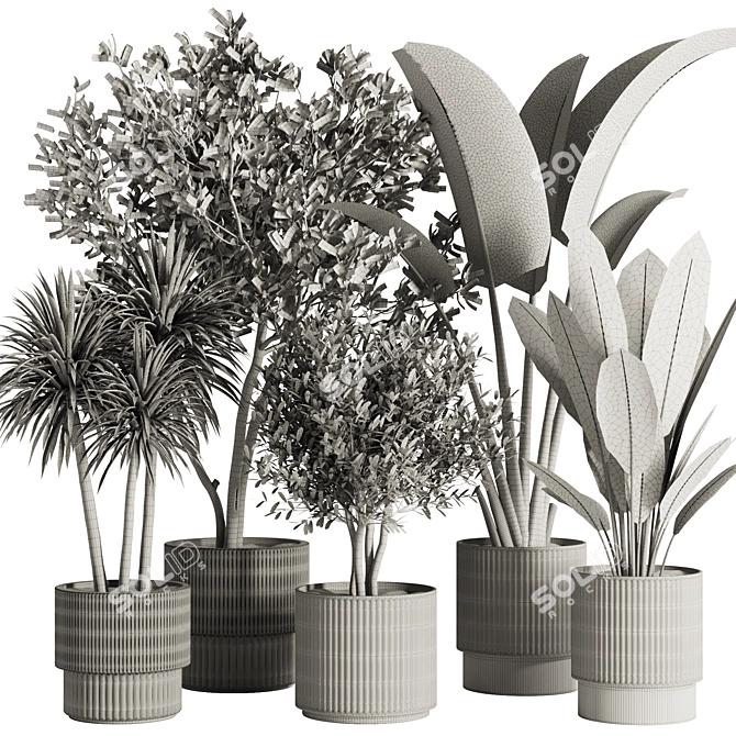 Modern Indoor Plant Set 2016 3D model image 5