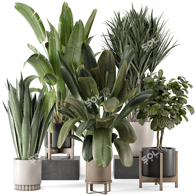 Modern Indoor Plants Bau Pot 3D model image 1