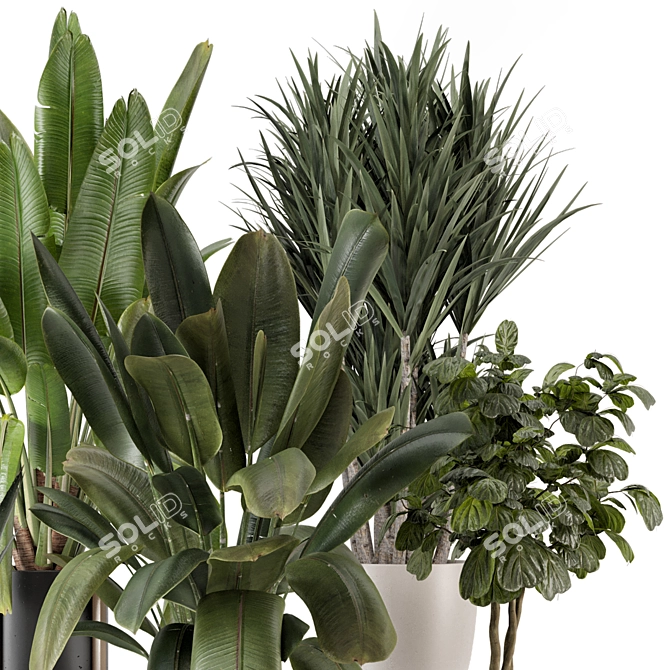 Modern Indoor Plants Bau Pot 3D model image 3