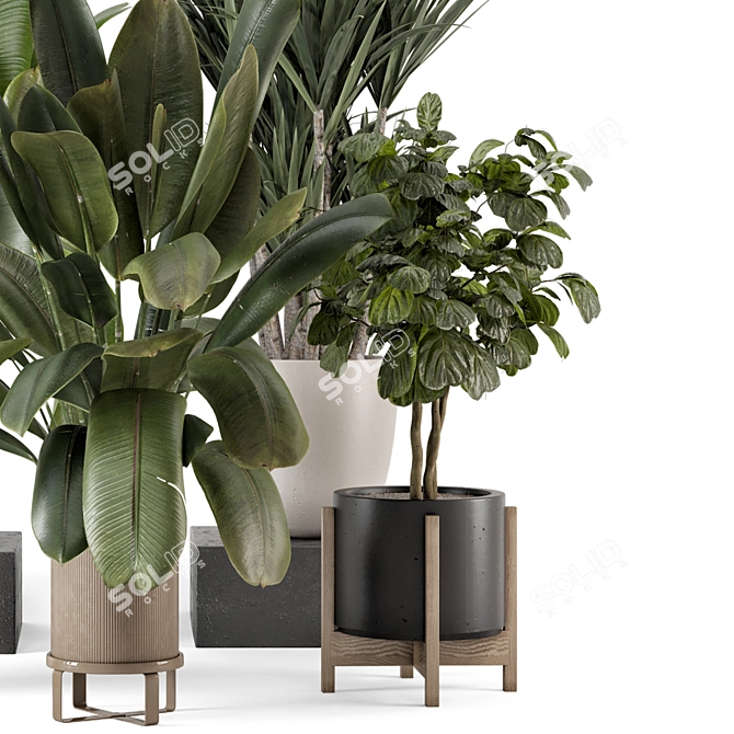 Modern Indoor Plants Bau Pot 3D model image 5