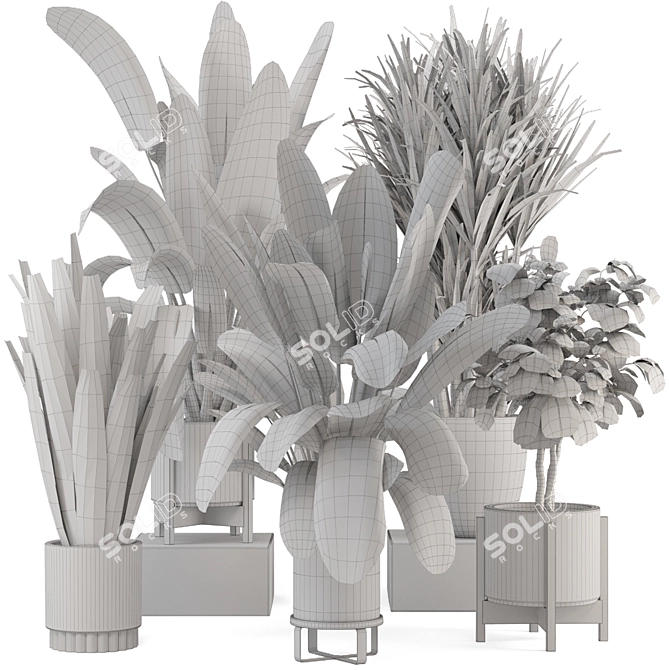 Modern Indoor Plants Bau Pot 3D model image 7