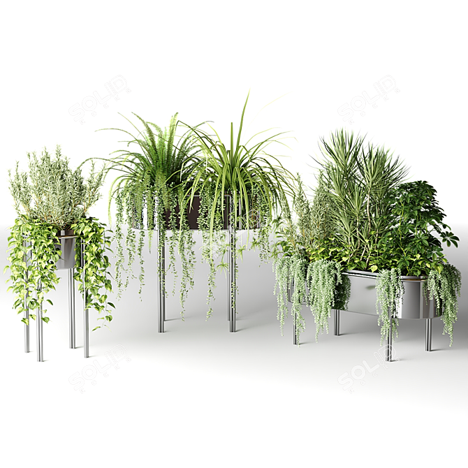 Stylish Chrome Plant Pots - Vray 3D model image 1