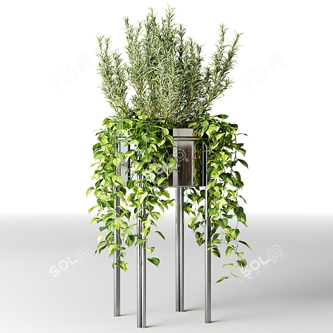 Stylish Chrome Plant Pots - Vray 3D model image 5