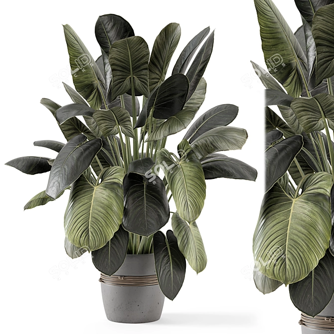 - 3D Indoor Plants in Stone Pot 3D model image 1