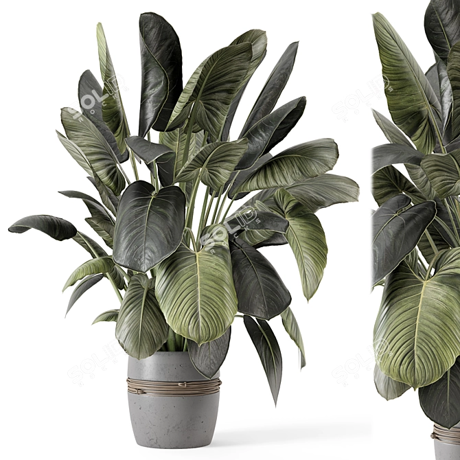 - 3D Indoor Plants in Stone Pot 3D model image 2