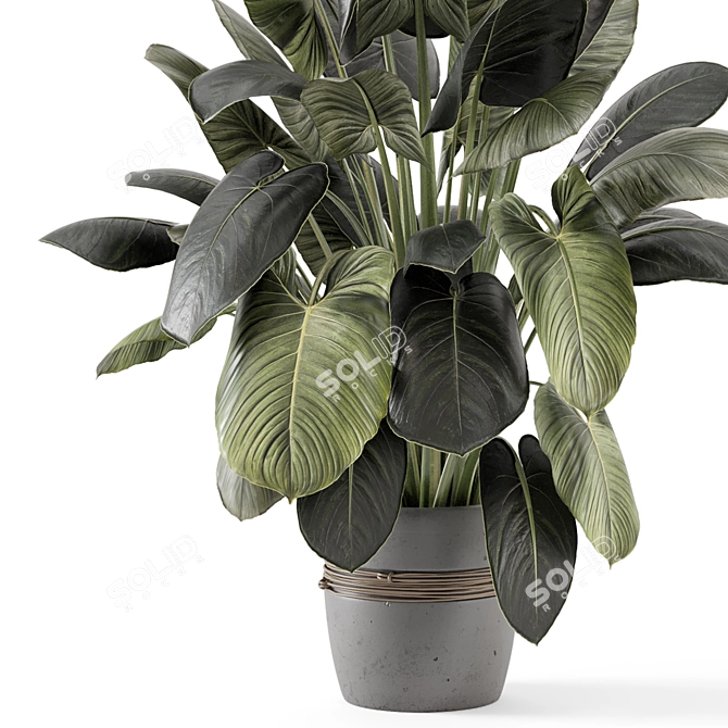 - 3D Indoor Plants in Stone Pot 3D model image 3