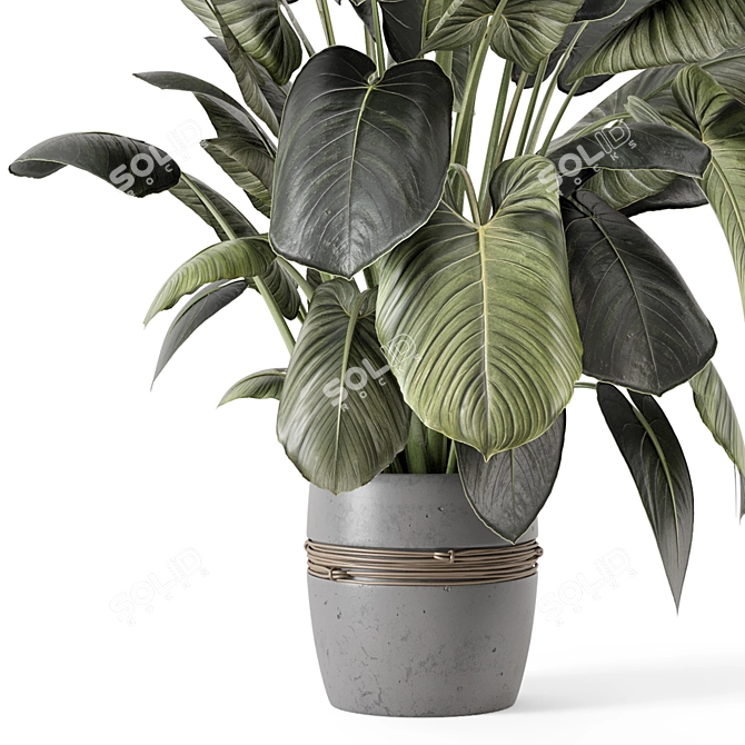 - 3D Indoor Plants in Stone Pot 3D model image 4