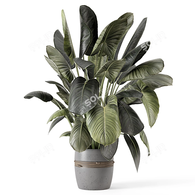 - 3D Indoor Plants in Stone Pot 3D model image 5