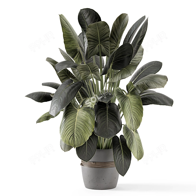 - 3D Indoor Plants in Stone Pot 3D model image 6