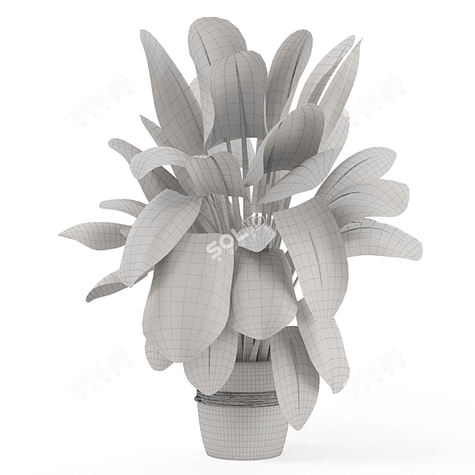 - 3D Indoor Plants in Stone Pot 3D model image 7