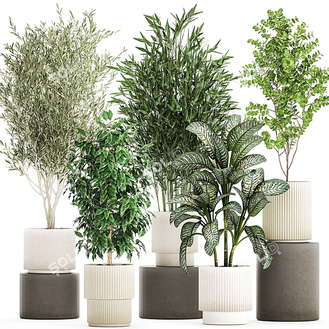 White Pot Collection: Exotic Plants 3D model image 1