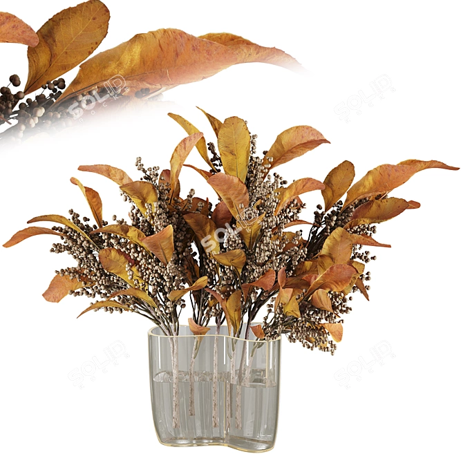 Decorative Dried Plant Collection Pack 3D model image 1