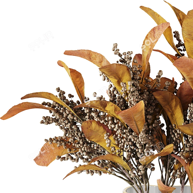 Decorative Dried Plant Collection Pack 3D model image 3