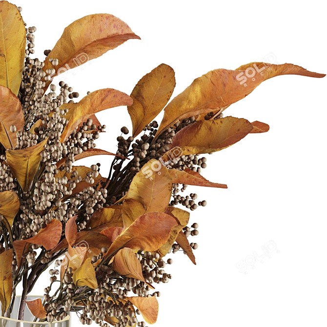 Decorative Dried Plant Collection Pack 3D model image 4