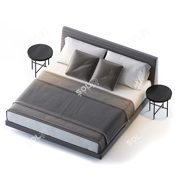 Modern Minimalist Roger Bed 3D model image 2