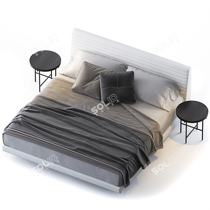 Modern Minimalist Roger Bed 3D model image 3