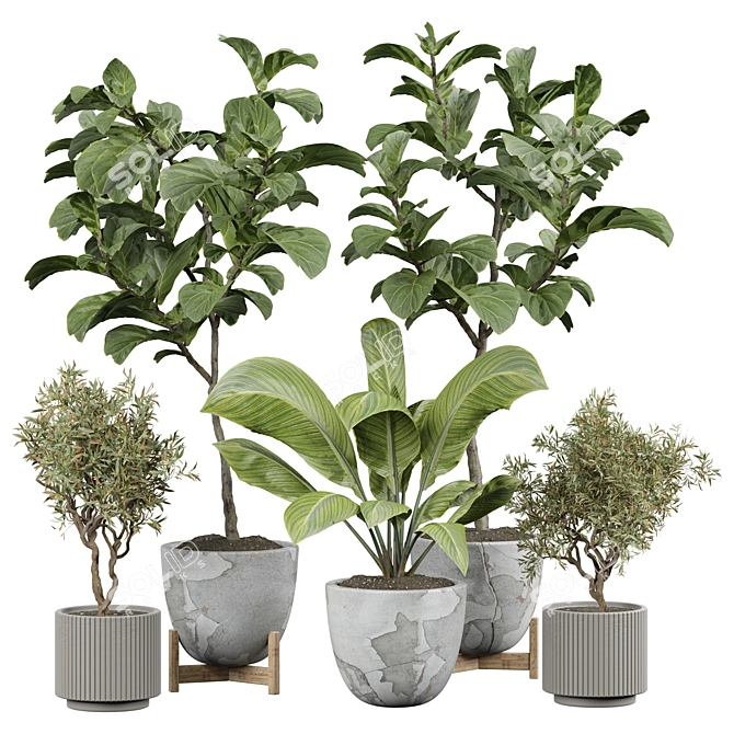 Vintage Indoor Plant Model 3D model image 1