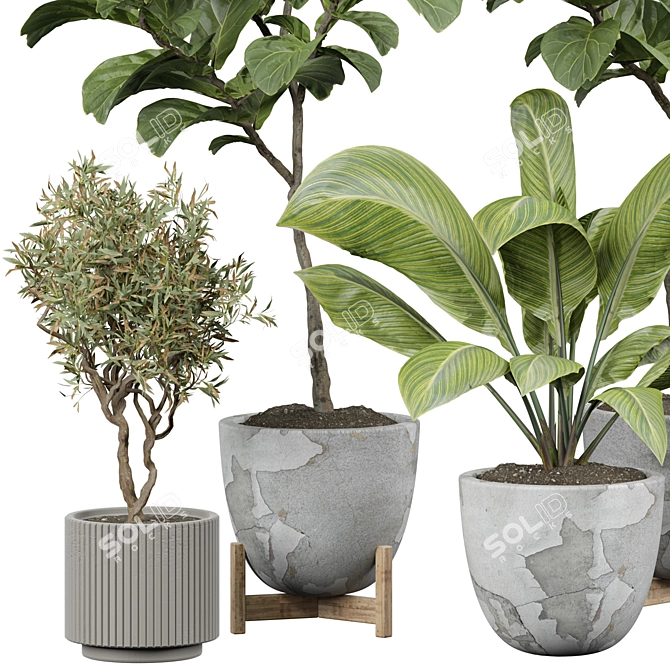 Vintage Indoor Plant Model 3D model image 2