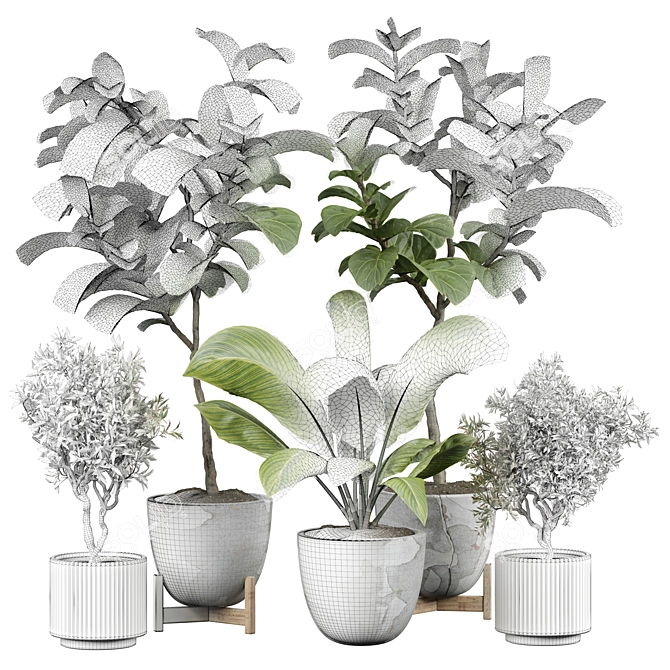 Vintage Indoor Plant Model 3D model image 4