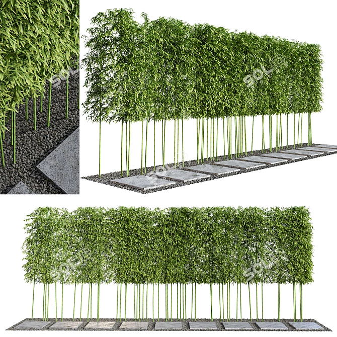 Modern Courtyard with Bamboo Path 3D model image 1