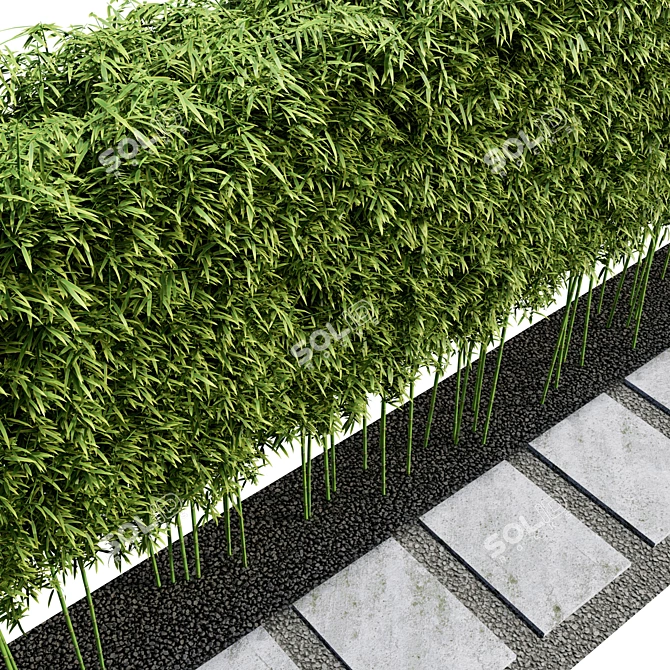 Modern Courtyard with Bamboo Path 3D model image 3