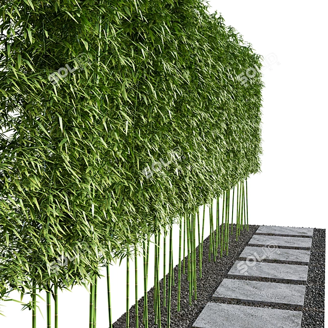 Modern Courtyard with Bamboo Path 3D model image 5