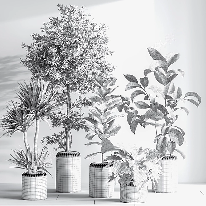 Modern Indoor Plant Set 051 3D model image 7