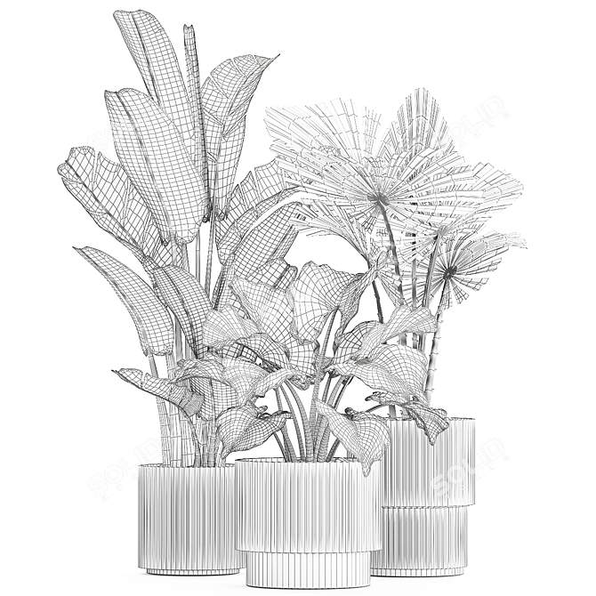 Exotic Plant Collection License Palm 3D model image 7