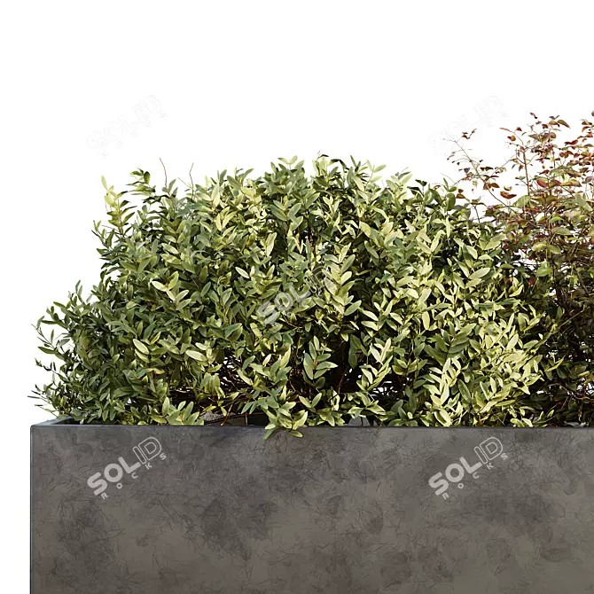 Urban Green Plant Bench Set 3D model image 3