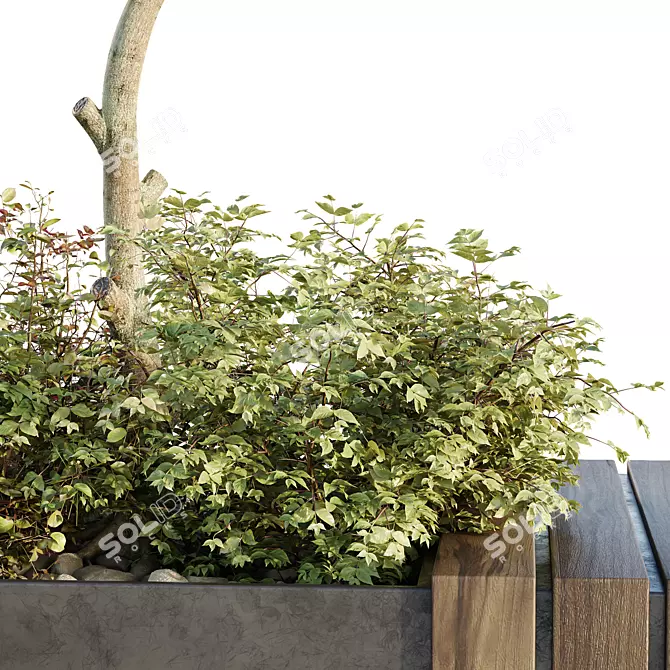 Urban Green Plant Bench Set 3D model image 4
