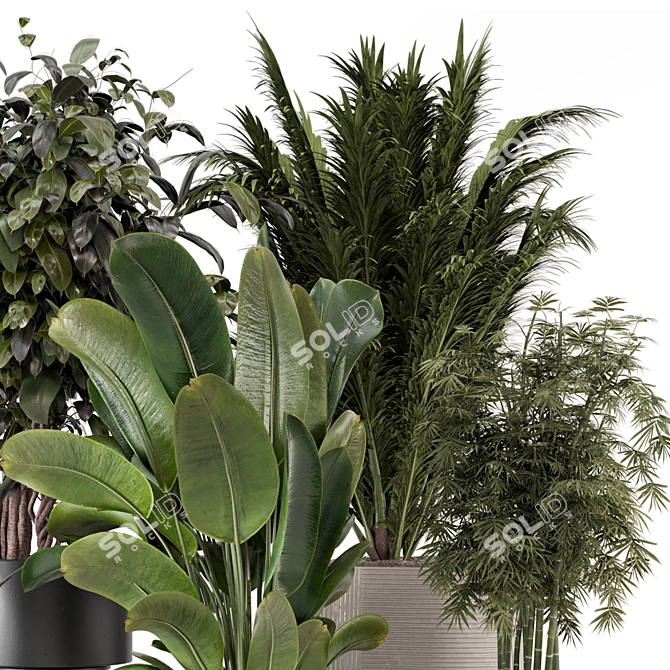 Modern Indoor Plants with Bau Pot - Set 1848 3D model image 3