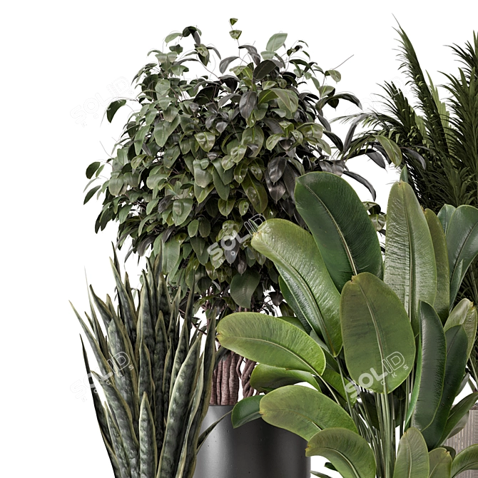 Modern Indoor Plants with Bau Pot - Set 1848 3D model image 4