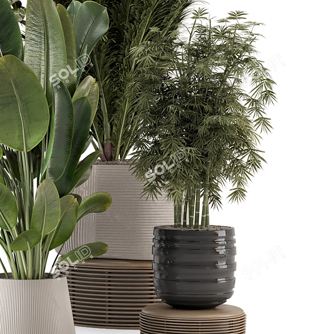 Modern Indoor Plants with Bau Pot - Set 1848 3D model image 6