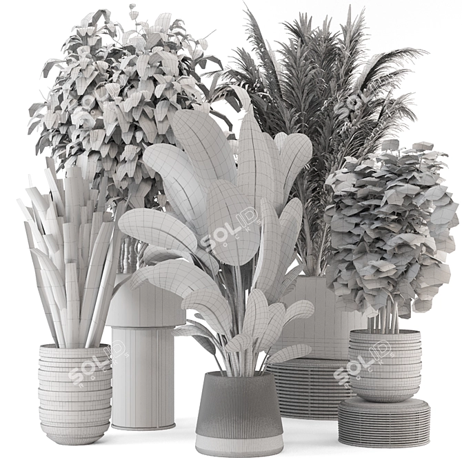 Modern Indoor Plants with Bau Pot - Set 1848 3D model image 7