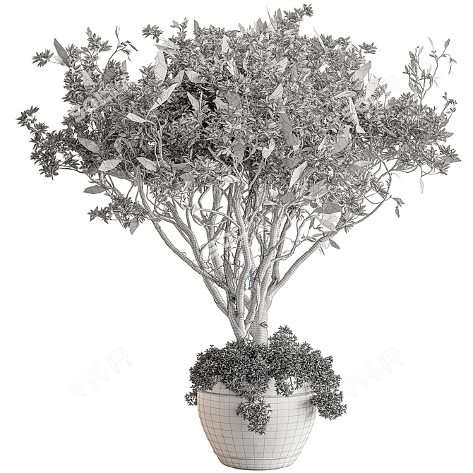 Indoor Tree in Pot Display 3D model image 4