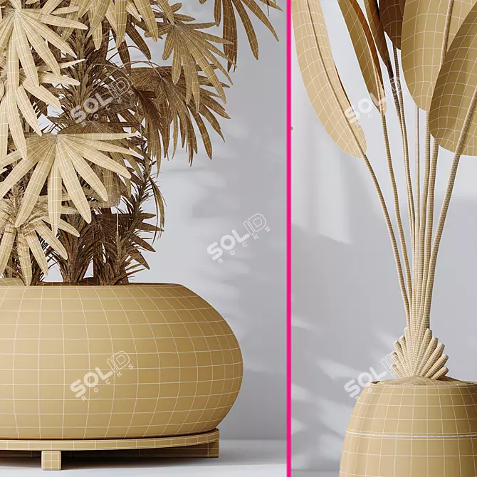 Tropical Palm Vases Collection 3D 3D model image 7