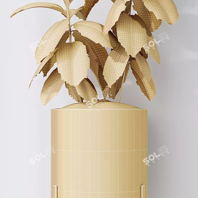 Ficus Elastica Melany HQ HousePlants 3D model image 5