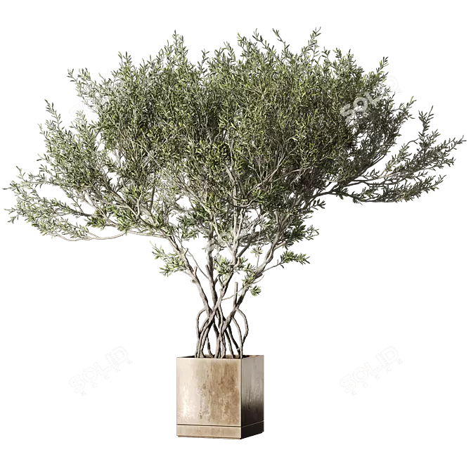 Metal Pot Live Indoor Tree 3D model image 3