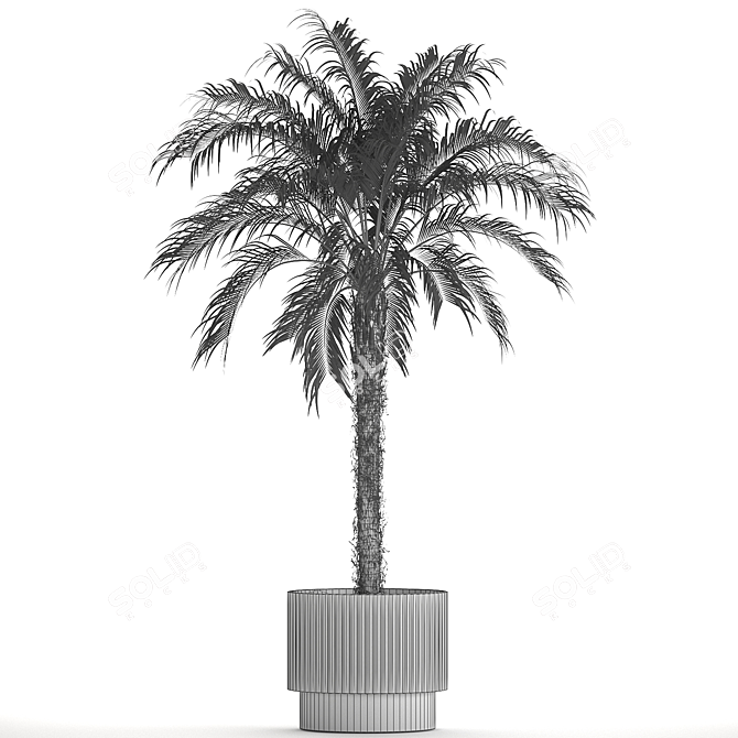 Exotic Palm Set in Modern Pot 3D model image 7