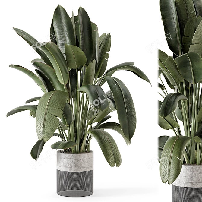 Handmade Stone Pot Indoor Plants 3D model image 2