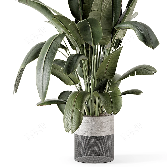 Handmade Stone Pot Indoor Plants 3D model image 3