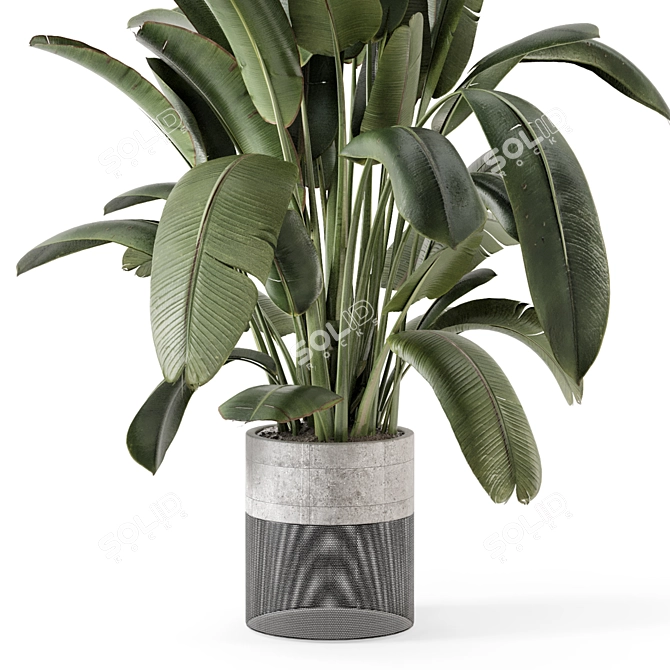 Handmade Stone Pot Indoor Plants 3D model image 4