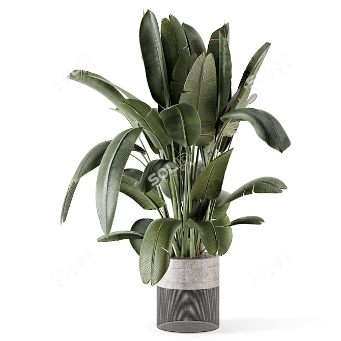 Handmade Stone Pot Indoor Plants 3D model image 5